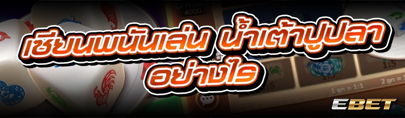 เซียนพนันเล่น น้ำเต้าปูปลา อย่างไร