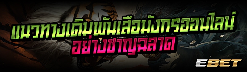 แนวทางเดิมพันเสือมังกรออนไลน์อย่างชาญฉลาด