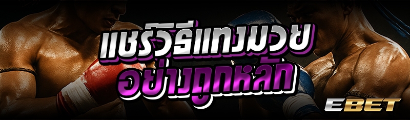 แชร์วิธีแทงมวยอย่างถูกหลัก