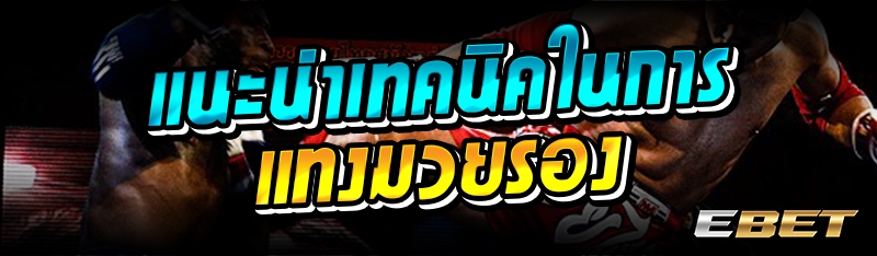 แนะนำเทคนิคในการแทงมวยรอง