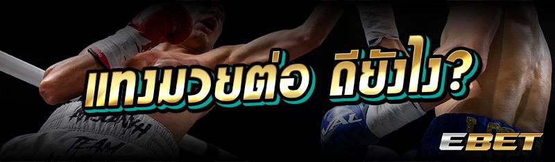 แทงมวยต่อ ดียังไง?
