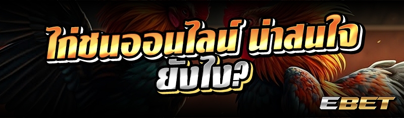 ไก่ชนออนไลน์ น่าสนใจยังไง?